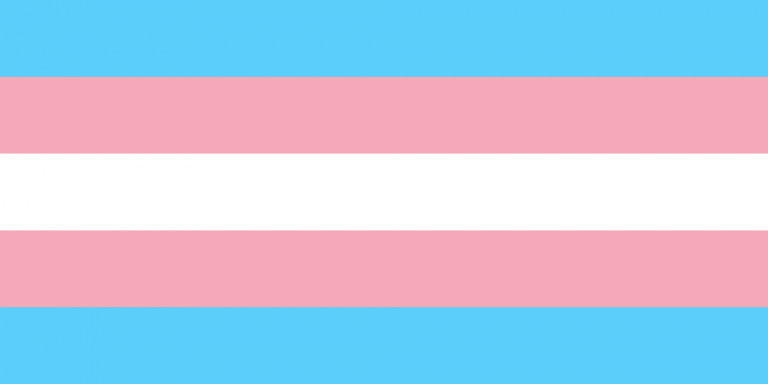 Transgender pride flag